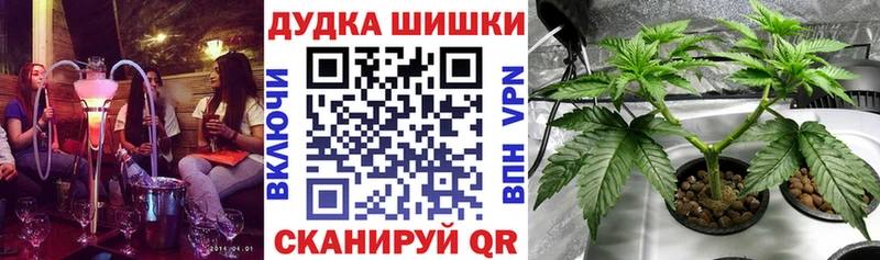 Где можно купить наркотики Волосово A PVP  АМФЕТАМИН  Мефедрон  ГАШ  Бошки Шишки 