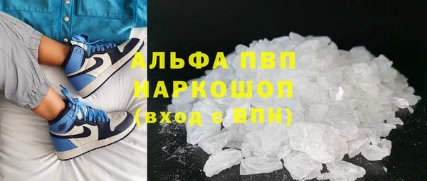 мяу мяу мука Баксан