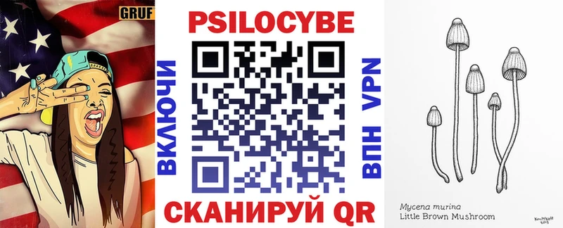 купить наркотики сайты  Волосово  Галлюциногенные грибы прущие грибы 